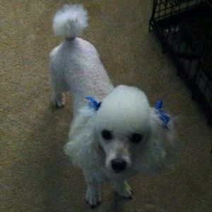 Meet your Posher, Linda